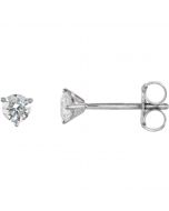 14kt White 1/4 CTW Diamond Stud Earrings
