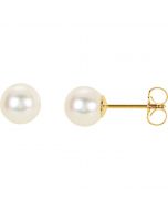 14kt Yellow 6.5-7mm Panache™ Freshwater Cultured Pearl Earrings