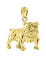 10kt Yellow Gold Womens Charm Bulldog Animal Fashion Charm Pendant