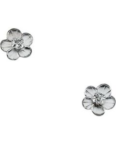 Childrens Daisy With Cz Earring 14K White Gold Pair 05.75 Mm;P;Childrens Daisy With Cz Earring