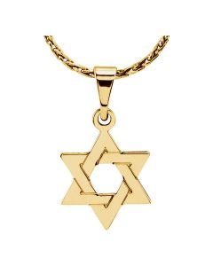 14kt Yellow 25x19mm Star of David Pendant