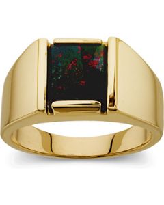 GENUINE BLOODSTONE RING 14K Yellow Gold 10.00x08.00MM ONE PIECE