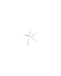 Starfish Brooch / Pendant