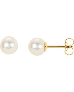 14kt Yellow 6.5-7mm Panache&trade; Freshwater Cultured Pearl Earrings