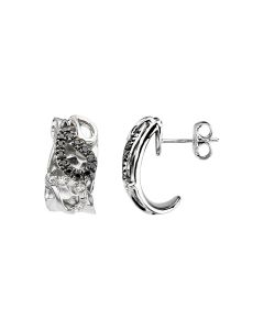 Sterling Silver & 14kt White 1/3 CTW Diamond Paisley Design Earrings