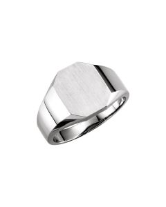 14kt White 11x9mm Octagon Signet Ring