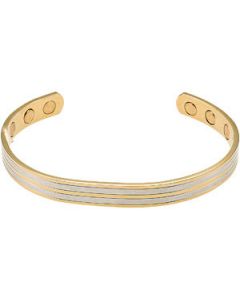 Cuff Bangle W/Acid Gld & Magne N\A  08.00 Inch