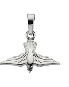 Holy Spirit Pednant 14K White Gold 13.00 X 18.00 Mm Holy Spirit Pednant