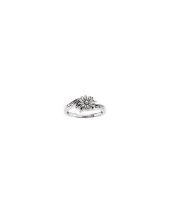 Love Waits Chastity Ring