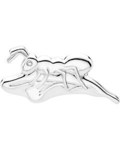 The Preserving Ant Brooch Sterling Silver  31.25X14.75 Mm