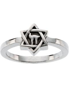 Star Of David W/Chai Ring 14K Yellow Gold 