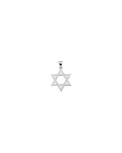 14kt White 25x19mm Star of David Pendant