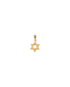 14kt Yellow 12x9mm Star of David Pendant
