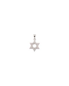 14kt Yellow 14x12mm Star of David Pendant
